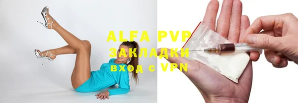 стаф Алексин