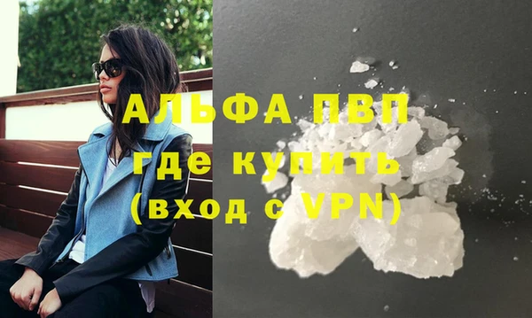 стаф Алексин